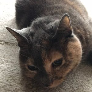 Meet your Posher, Tracey